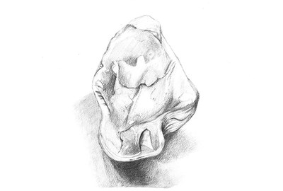 Austern, Lea Schiebler 2e