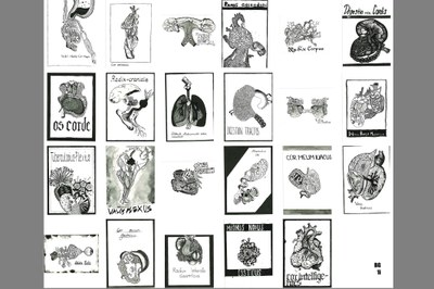 ductus lateralis tibialis 1, BG 1i und 1k