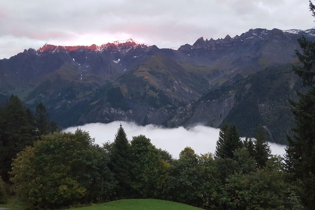 Aussicht vom Lagerhaus